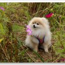 하늘정원3 이미지