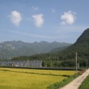 속리산둘레길 보은길3 이미지