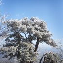 단군신화의 聖地 太白山 이미지