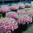 으뜸농장 이미지