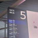[목포] 어쩌다 목포 여행 (1) :: 이가본가, 커피창고로, 스타벅스 목포해안로점, 박태민과자점, 옥암...