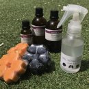 하이펫살롱 이미지