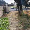 함평공설운동장 이미지