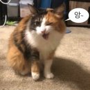 리얼컴 이미지