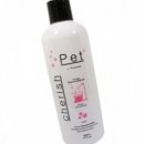 체리쉬퍼피 이미지