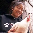 방송양계장 이미지