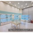 부산강아지분양 퍼피몰리 | 강아지랑 첫 만남 두근두근 인연 찾은&#34;부산강아지분양 퍼피몰리&#34; 후기