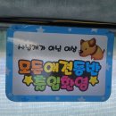미나리만 구매해도 환영?! 양산 원동 5번집에서 직접 구워먹은 후기