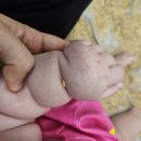 156 | 🐰 4개월 아기 문센 후기 | D+156 토끼로 변신! 통귀리 오감놀이
