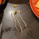 원조짱구 | 남포동 얼큰한 국물 안주 금포나루원조돌게탕 내돈내산 후기