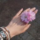 거진체육공원 이미지