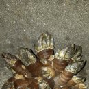 영산도명품체험휴양마을 이미지