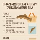 미꾸라지는 어디서 사나요? 구매처와 보관법 안내