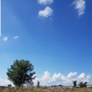 죽림 근린공원 이미지