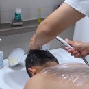 피지메디칼 | 아이 등 피지낭종 제거 수술 후기 (수술비, 보험환급비, 수술 후 관리)
