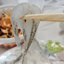 더.회 네이버블로그