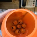 약선제한의원 이미지