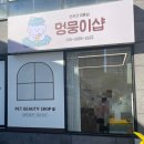 멍뭉이샵 이미지