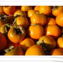 동희농원 이미지