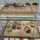 92버터샵 이미지