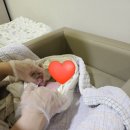 좋은문화병원 | 39주 | 초산 자연분만 출산, 좋은문화병원 1인실 비용 및 후기