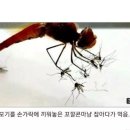 잠자리 잡으면 안되는 이유.jpg 이미지