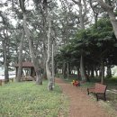 청산공원 이미지