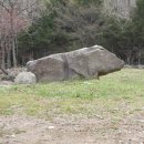 시종중학교 이미지