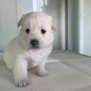 외답6길 이미지