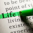 한국라이프 이미지