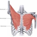 MEDICAL PT 이미지
