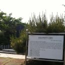 용흥동 솔개재 이미지
