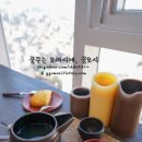 티컬렉티브 이미지