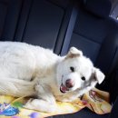 재송1동 주민센터 이미지