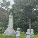☆삼위일체순례단 2026년 8월정기순례 청주교구, 대전교구, 수원교구순례 (2026-08-08)☆ 이미지