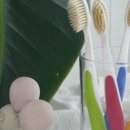 다온기획 이미지