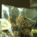 하늘땅 별땅 이미지