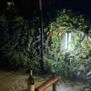 서광이지 이미지