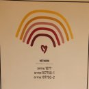 카페로움 미아뉴타운점 | 길음 분위기 좋은 주택개조 카페 오름 1077 내돈내산 솔직후기