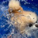 놀러오개 서대문점 이미지