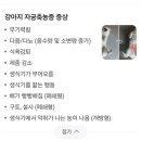 안양비산동물병원 이미지