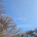 용현계곡입구 | 이게 바로 서산의 매력! 마애여래삼존상과 용현자연휴양림 완벽 코스