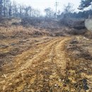 인곡리도로변 이미지