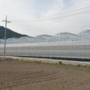 으뜸2농장 이미지