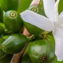 비야농장 이미지