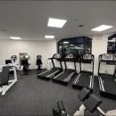 Top-tier GYM 이미지