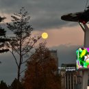 2024.11월 어느날의 기록들 | 볼링, 카페 텅, 석촌 그로어스, 잠실 크리스마스 마켓, 샤넬링크장, 영화...