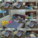 성준농장 이미지