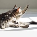 오늘, 그루밍 이미지