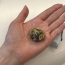 비움 | 비움매실 후기 효과 느낌 있을까 똥매실 한 알 먹어본 리얼 후기